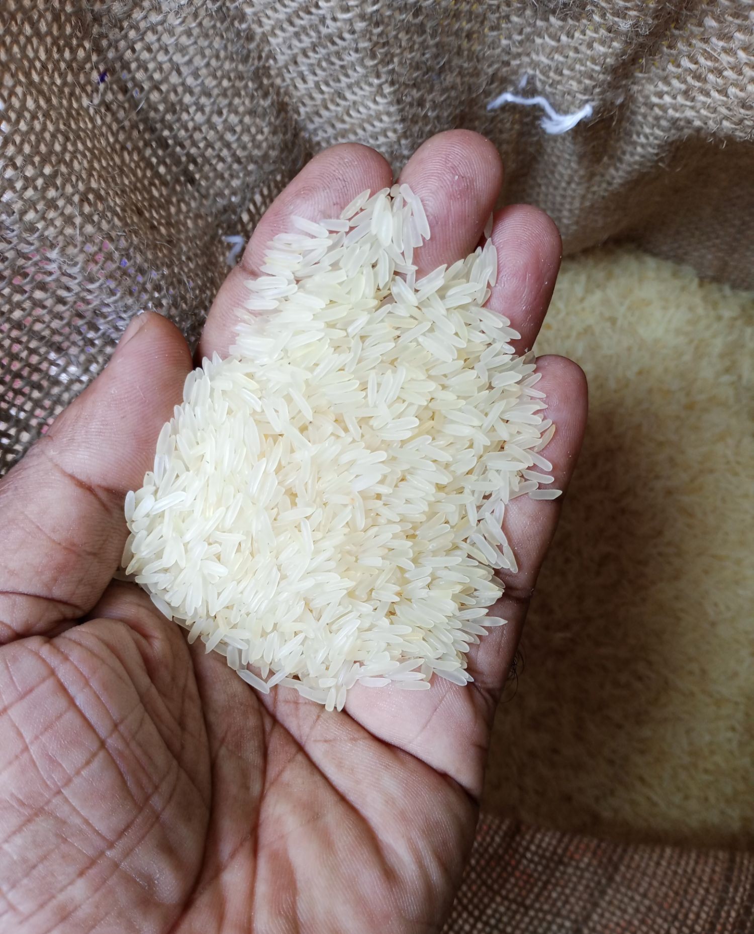 মিনিকেট চাল